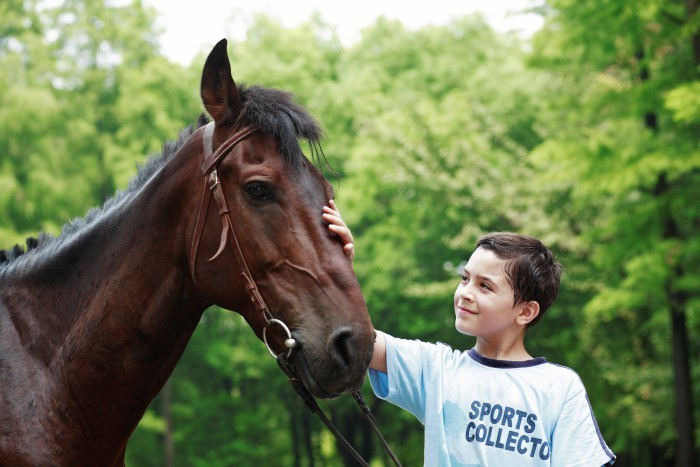 How to Take Care of Your Horse