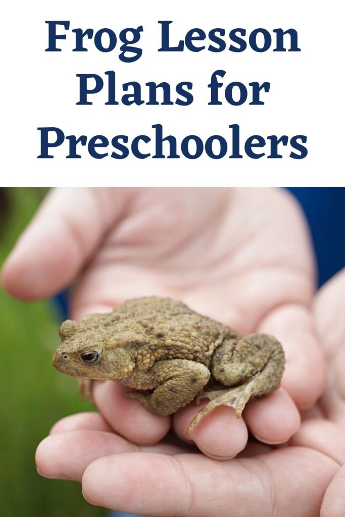 Frog Lesson Plans for Preschoolers