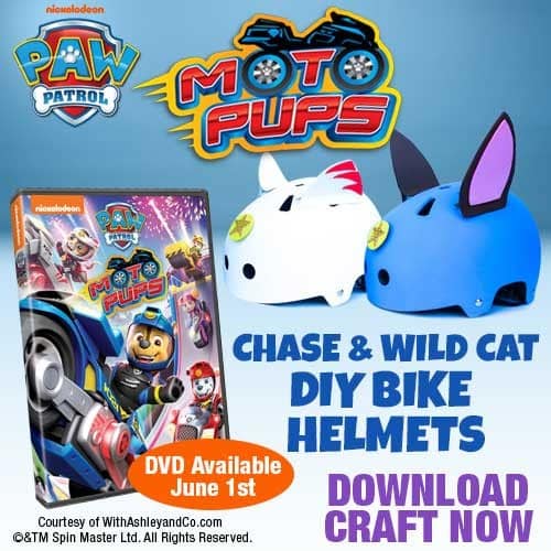 Paw patrol best sale chase helmet