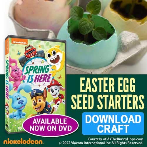 Easter Egg Seed Starter Craft