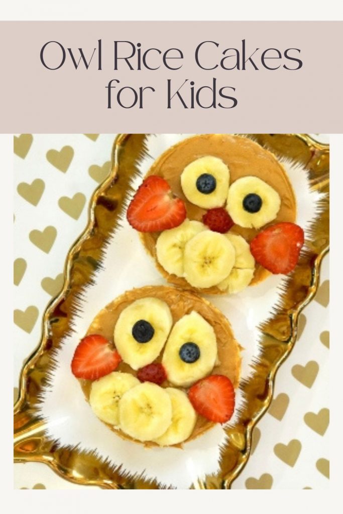 Owl Rice Cakes for Kids