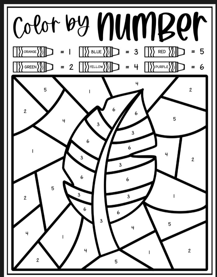 Fern Color By Number Coloring Sheets