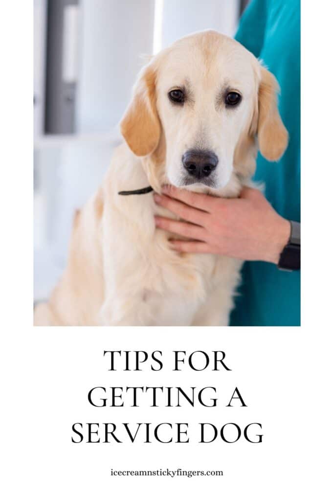 Tips for Getting a Service Dog