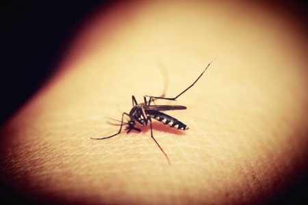 How to Protect Your Kids from Mosquitoes This Summer
