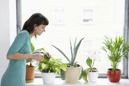 Decorating a Small Apartment