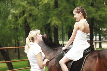 How to Take Care of Your Horse