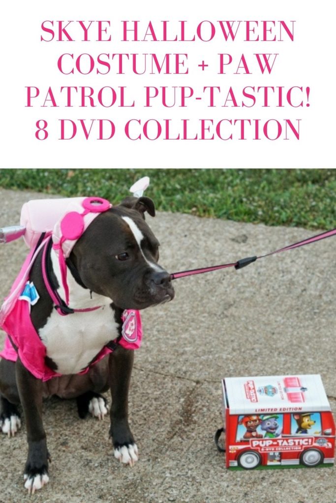 Skye Halloween Costume Paw Patrol Pup-tastic 8 DVD Collection