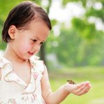 Frog Lesson Plans for Preschoolers