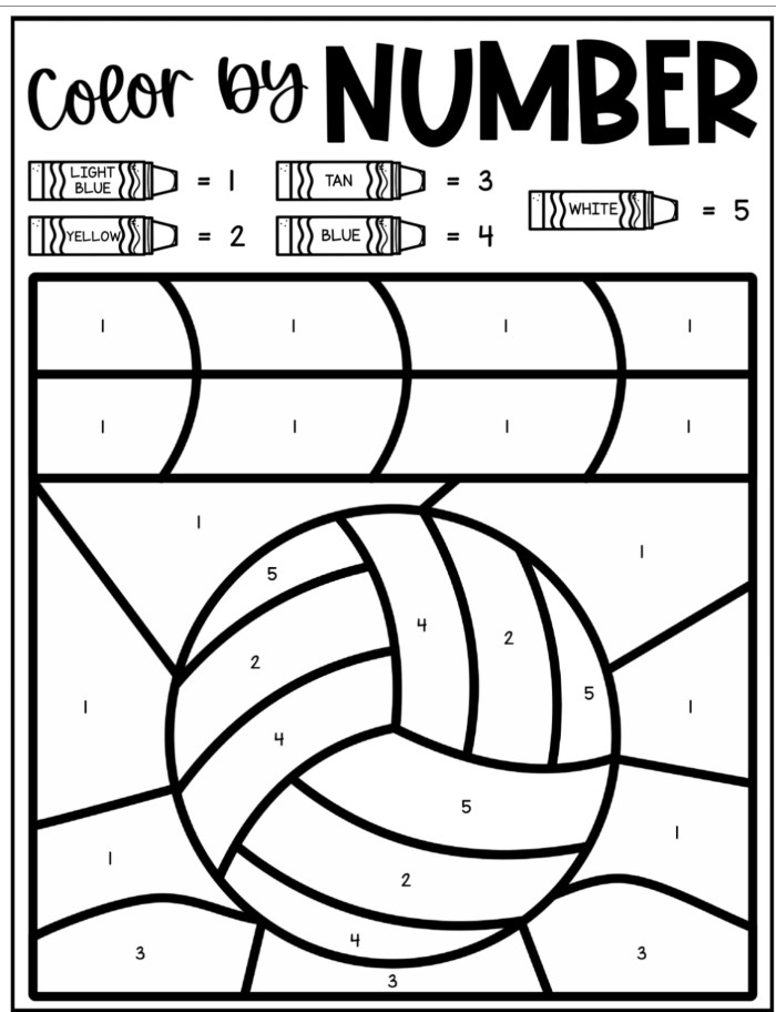 Volleyball Color By Number Coloring Sheet