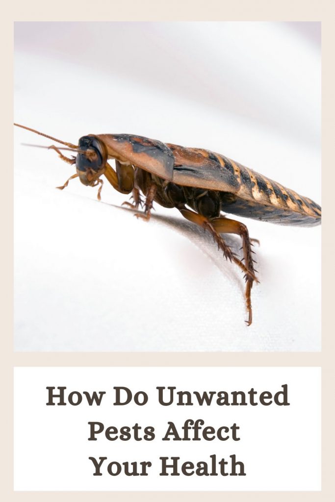 How Do Unwanted Pests Affect Your Health