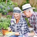 backyard gardening for beginners