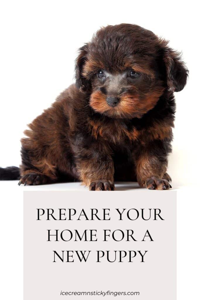 Prepare Your Home for a New Puppy