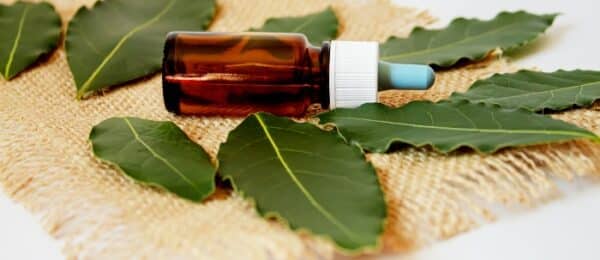 How to Use Tea Tree Oil to Calm Sensitive Gums