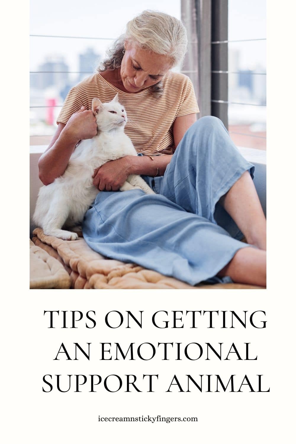 Getting Animals Tips on Getting an Emotional Support Animal - Ice Cream n Sticky Fingers