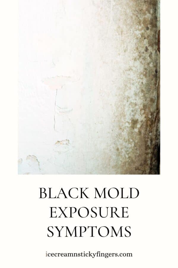 Black Mold Exposure Symptoms - Ice Cream N Sticky Fingers