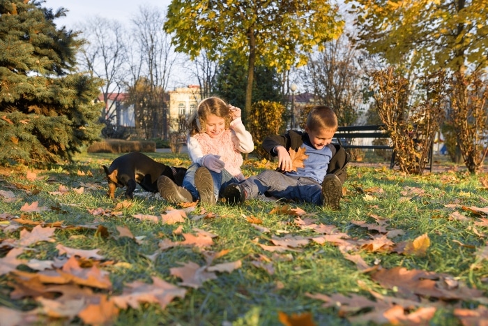 Fun Fall Activities for Kids and Families