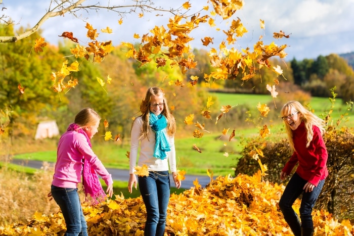 What Are Some Fun Fall Activities for Kids