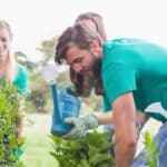 4 Ways You Can Make Your Community a Greener Place
