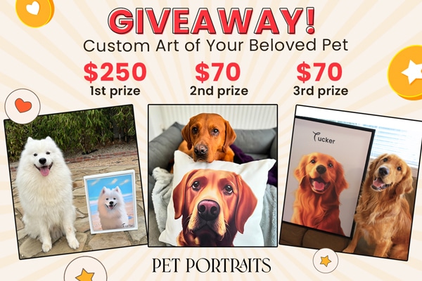 Enter to Win Custom Art of Your Beloved Pet Giveaway