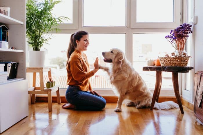 5 Best Ways to Thank Someone for Pet Sitting