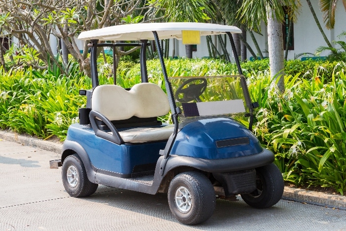 4 Reasons Why Families Should Purchase a Golf Cart