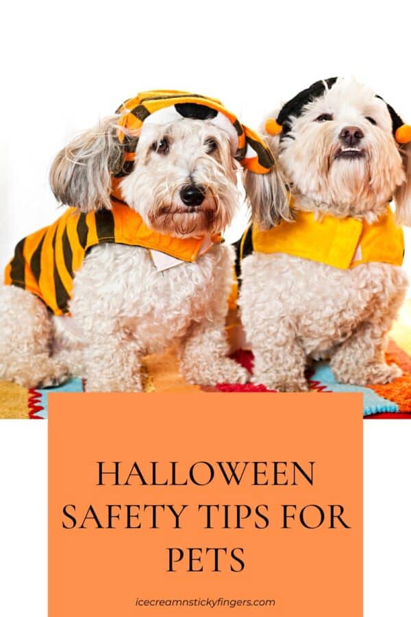Halloween Safety Tips for Pets Ice Cream n Sticky Fingers
