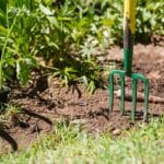 Gardening Hobby to Get Kids Outside