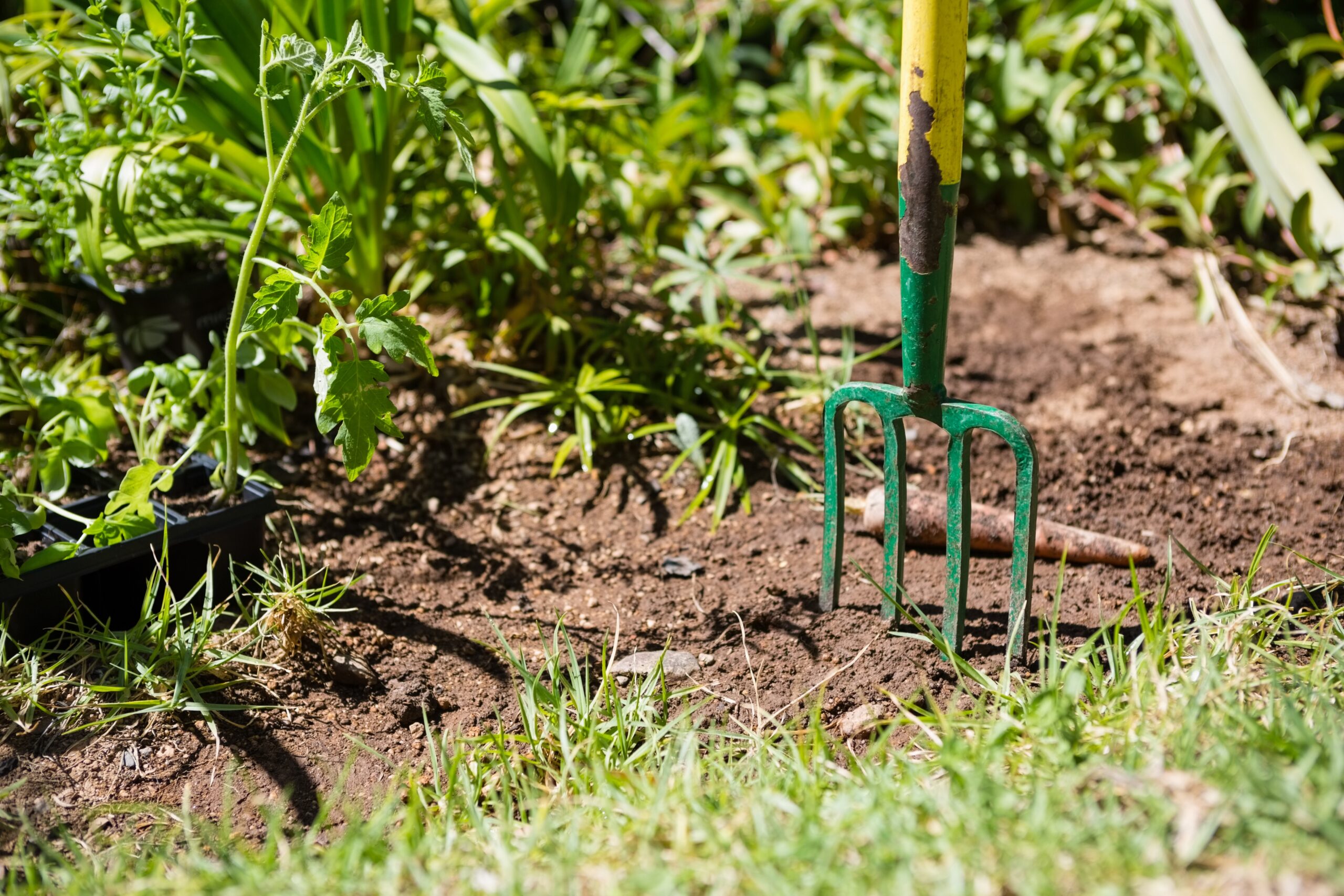 Gardening Hobby to Get Kids Outside