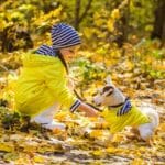 Essential Dog Care Tips