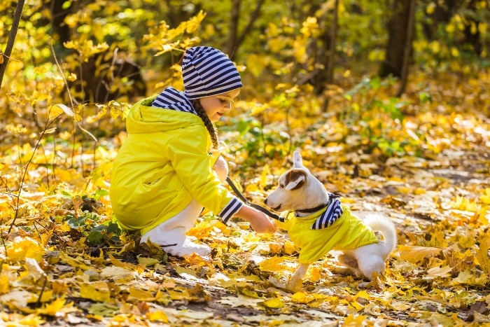 Essential Dog Care Tips