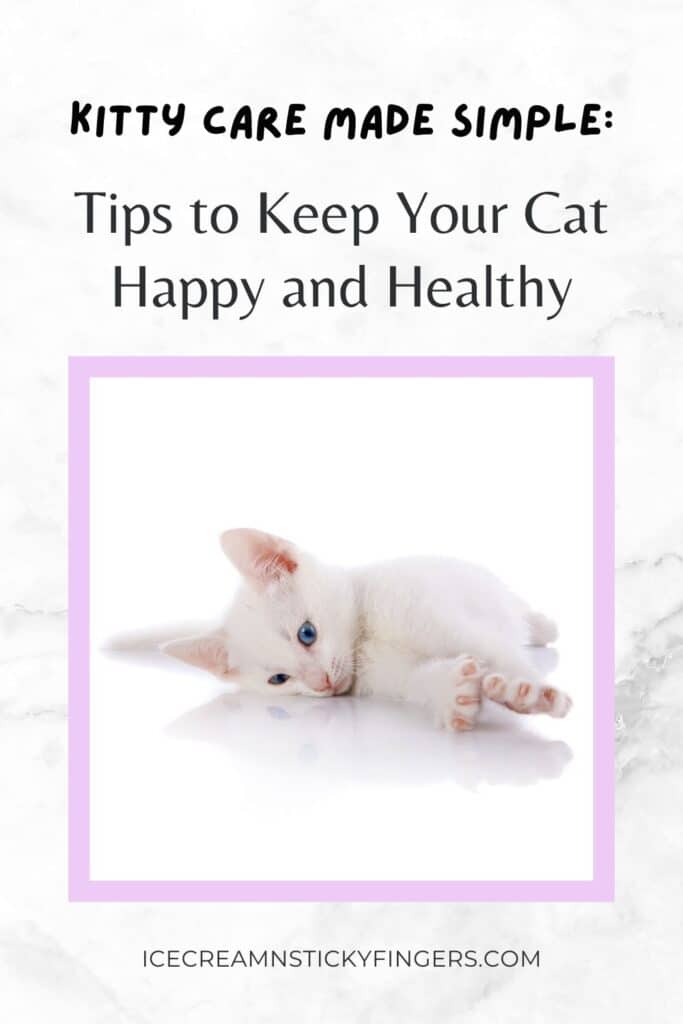 Kitty Care Made Simple: Tips to Keep Your Cat Happy and Healthy