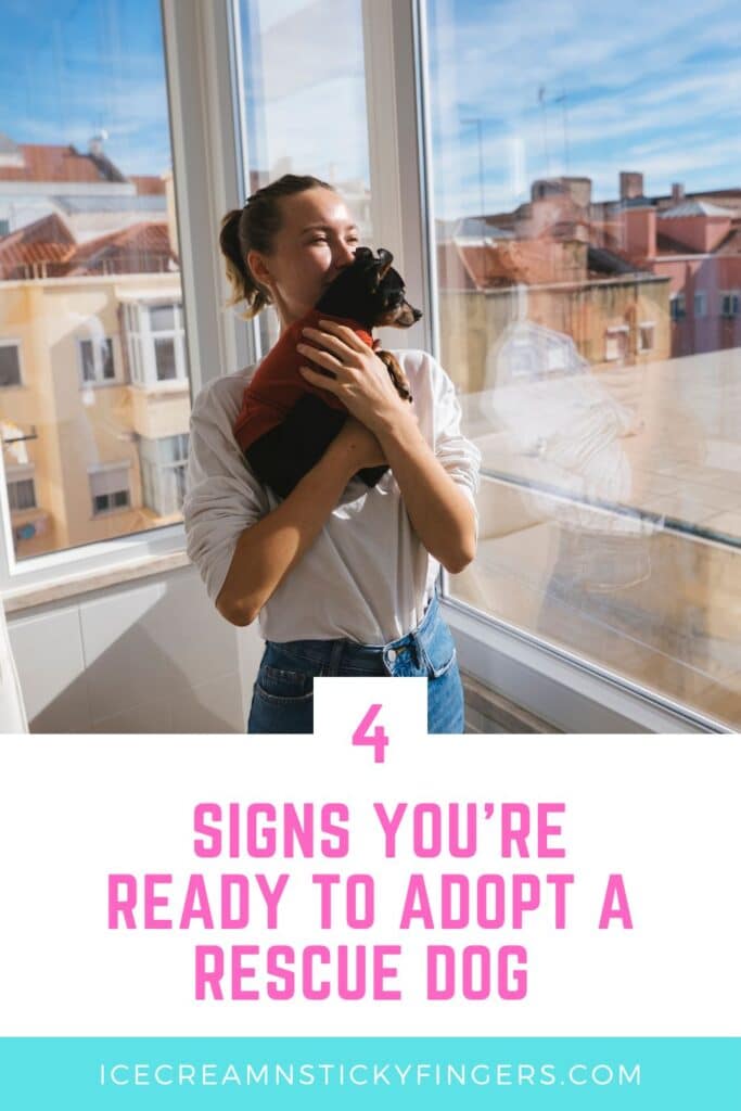 4 Signs You're Ready To Adopt a Rescue Dog