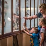 Best Kids Museums Fort Worth Parents Should Know