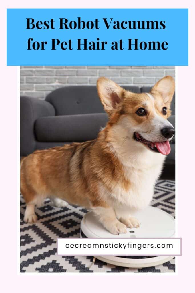 Best Robot Vacuums for Pet Hair at Home
