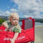 Stroller Wagon Review the Features That Matter Most