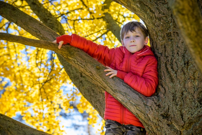 Parenting Trends 2026 Families May Use